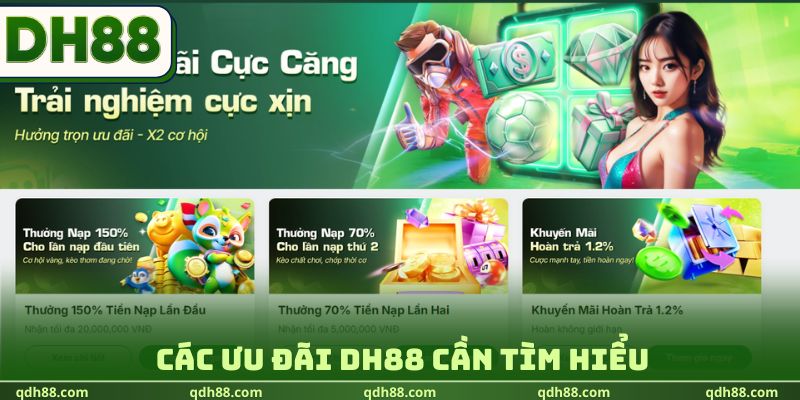 DH88 Các ưu đãi DH88 cần tìm hiểu trước khi tham gia