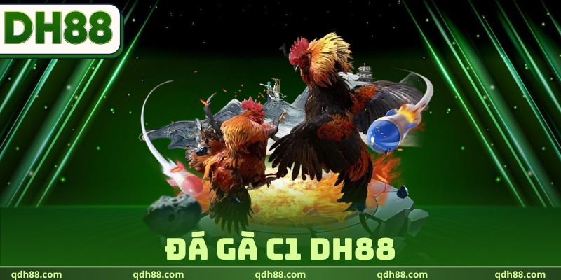 Đá gà C1 DH88 - Theo Dõi Giải Đấu Kinh Điển Cực Hot 2026 Đá gà C1 DH88