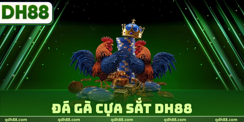 Đá Gà Cựa Sắt DH88 - Giải Trí Cuồng Nhiệt, Săn Thưởng Cực Đã Đá Gà Cựa Sắt DH88