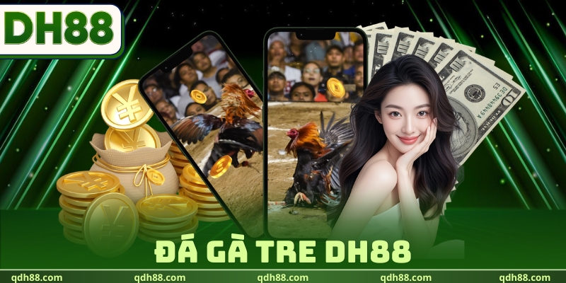 Đá Gà Tre DH88 | Khám Phá Sức Hút Từ Những Chiến Kê Nhỏ Đá Gà Tre DH88