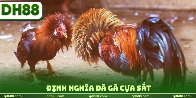 Định nghĩa đá gà cựa sắt