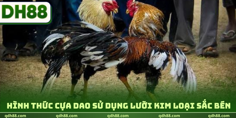 Hình thức cựa dao sử dụng lưỡi kim loại sắc bén