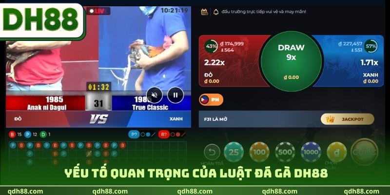 Yếu tố quan trọng của luật đá gà DH88
